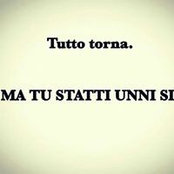 Igor Longhi's photo