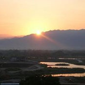 Patricia McCormack's photo