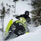 Paul Rose's photo