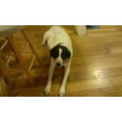 Tina Jarman's photo