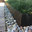 Border Concepts, Inc