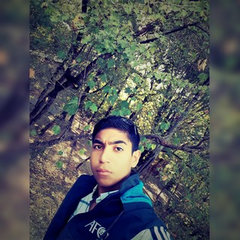 Mr.ItMan