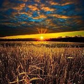 Foto von Terry McAdams