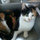 deborah_mclaughlin21