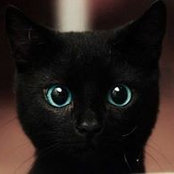 TK Chens foto