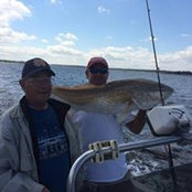 Thomas Wheeler's photo
