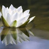 Lelia Lord's photo