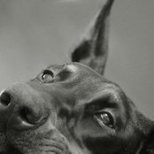 Foto von doberr