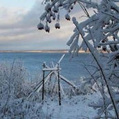 Debbie Corston's photo