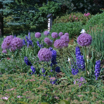 Perennial Gardens