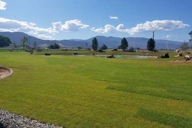 This is an example of a rustic full sun backyard pond in Salt Lake City.