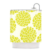 Shower curtain