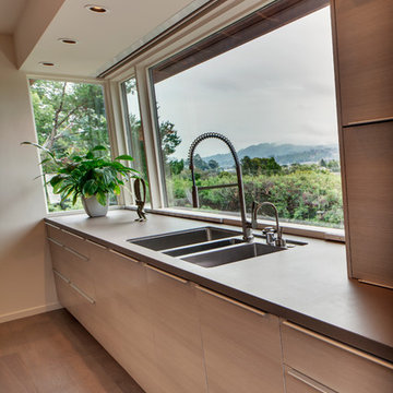 Marin Kitchen