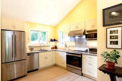Kitchen - transitional kitchen idea in San Francisco