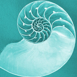 Beach - Prints And Posters