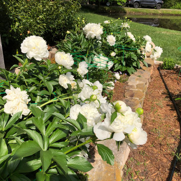 Chatham County Cottage Garden