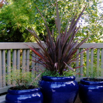 POTS IN THE LANDSCAPE