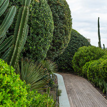 Beach Garden