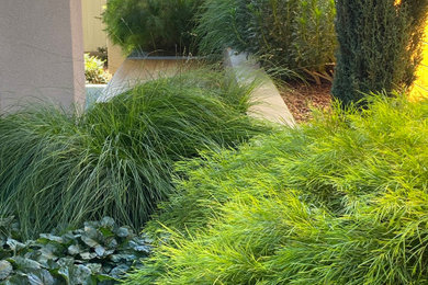 Design ideas for a landscaping in Sacramento.