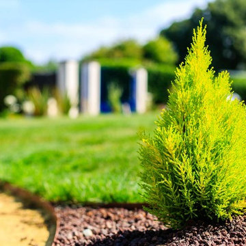 Création et aménagement d'un jardin