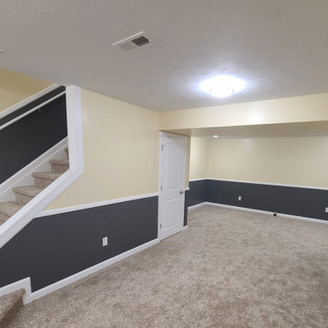 Basement Remodel