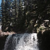 Luanna Wilson's photo