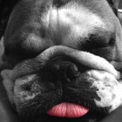 Cooper Meldrew's photo