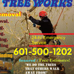 Ray's Tree Works