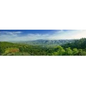 Kayon Walters's photo