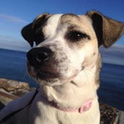 Suzanne Sellick's photo