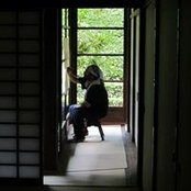 Troy Ericksonさんの写真