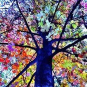 Foto von Donna Wilson