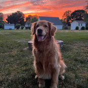 Ben Shafer's photo