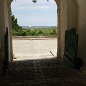Foto von Andrea Di Gregorio