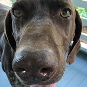 Monty Mullen's photo