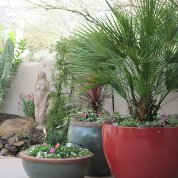 Desert Oasis - Phoenix Home & Garden