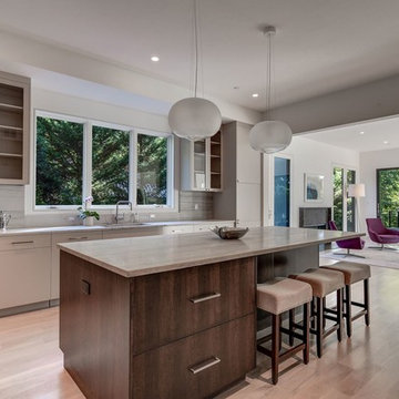 Modern Kitchen