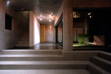 This is an example of a modern entrance in Other.