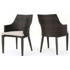 GDF Studio Hillcrest Outdoor Wicker Dining Chairs, Set of 2, Multi-Brown/Light B