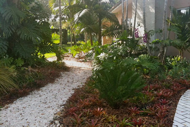 Design ideas for a tropical landscaping in Miami.