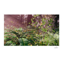 Curioos Artworks