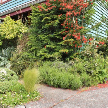Seattle Organic Garden
