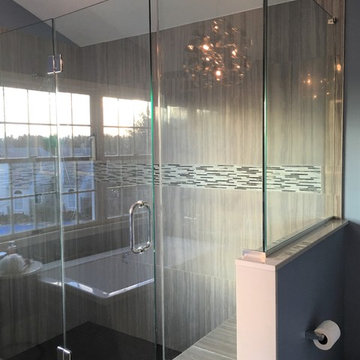 Contemporary / Modern Luxury Master Bath Remodel