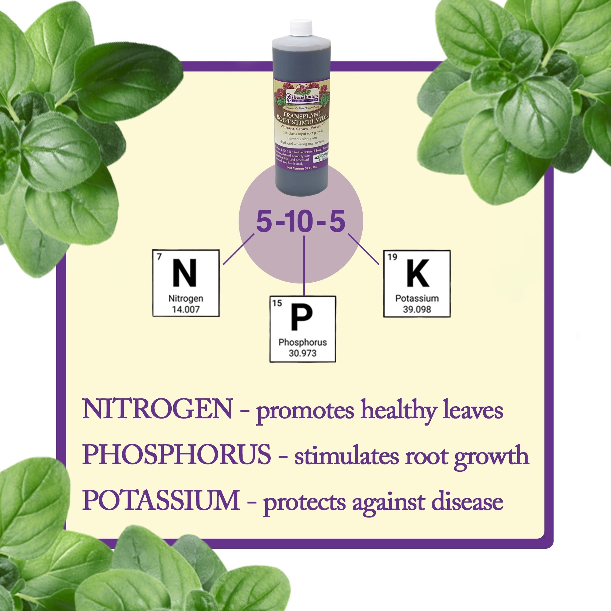Esbenshades 5-10-5 Transplant Root Stimulator, Natural Growth Formula ...