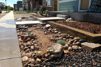 Design ideas for a modern landscaping in Denver.
