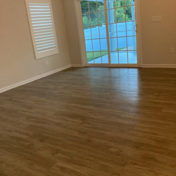 Deep Move out clean