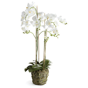 Realistic Phalaenopsis Orchid Drop-In Plant with Root Ball, 44"