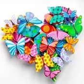 Heather Hickerson's photo