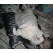 Ann Maskrey's photo