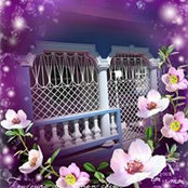 Betty Clarke's photo